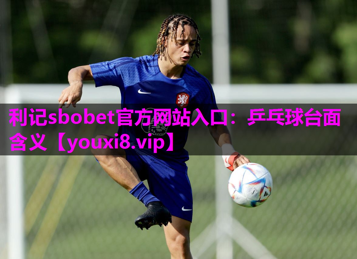 利记sbobet官方网站入口：乒乓球台面含义
