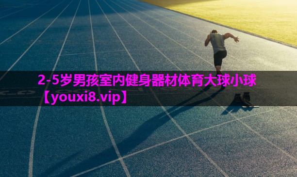 2-5岁男孩室内健身器材体育大球小球