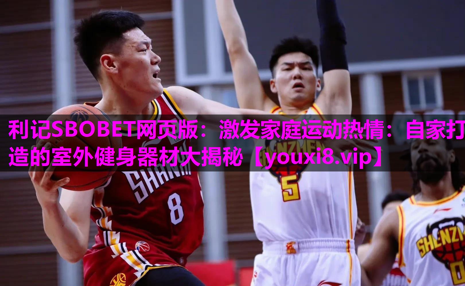 利记SBOBET网页版：激发家庭运动热情：自家打造的室外健身器材大揭秘