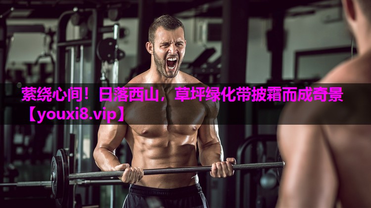 萦绕心间！日落西山，草坪绿化带披霜而成奇景