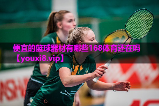 便宜的篮球器材有哪些168体育还在吗