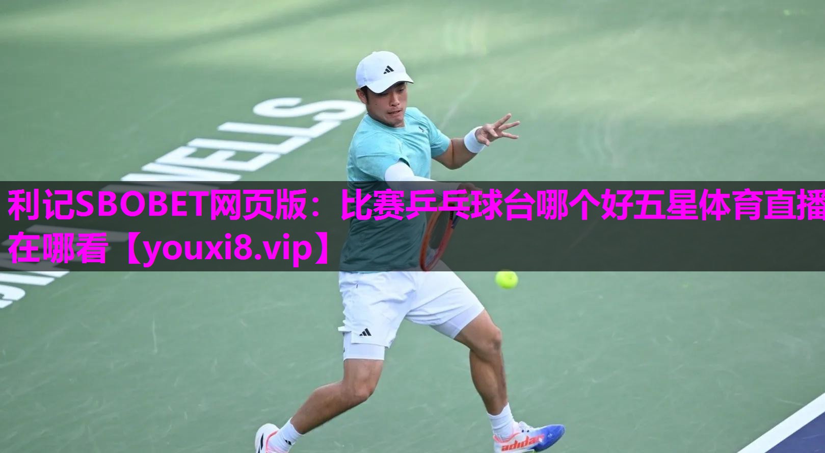 利记SBOBET网页版：比赛乒乓球台哪个好五星体育直播在哪看