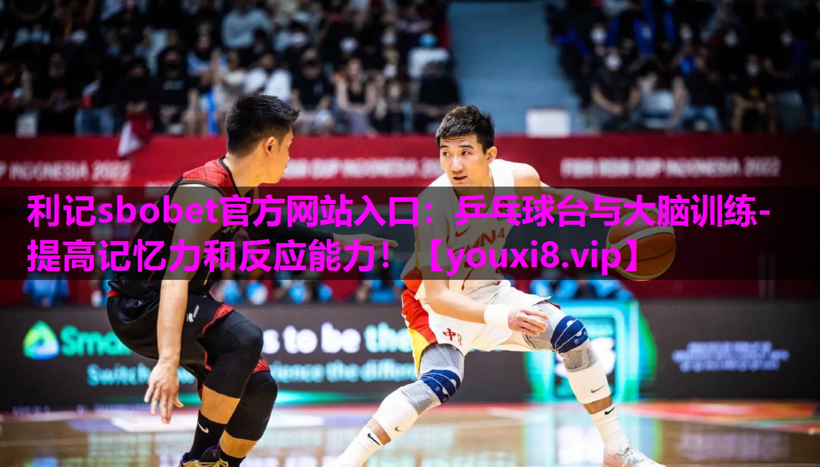 利记sbobet官方网站入口：乒乓球台与大脑训练- 提高记忆力和反应能力！