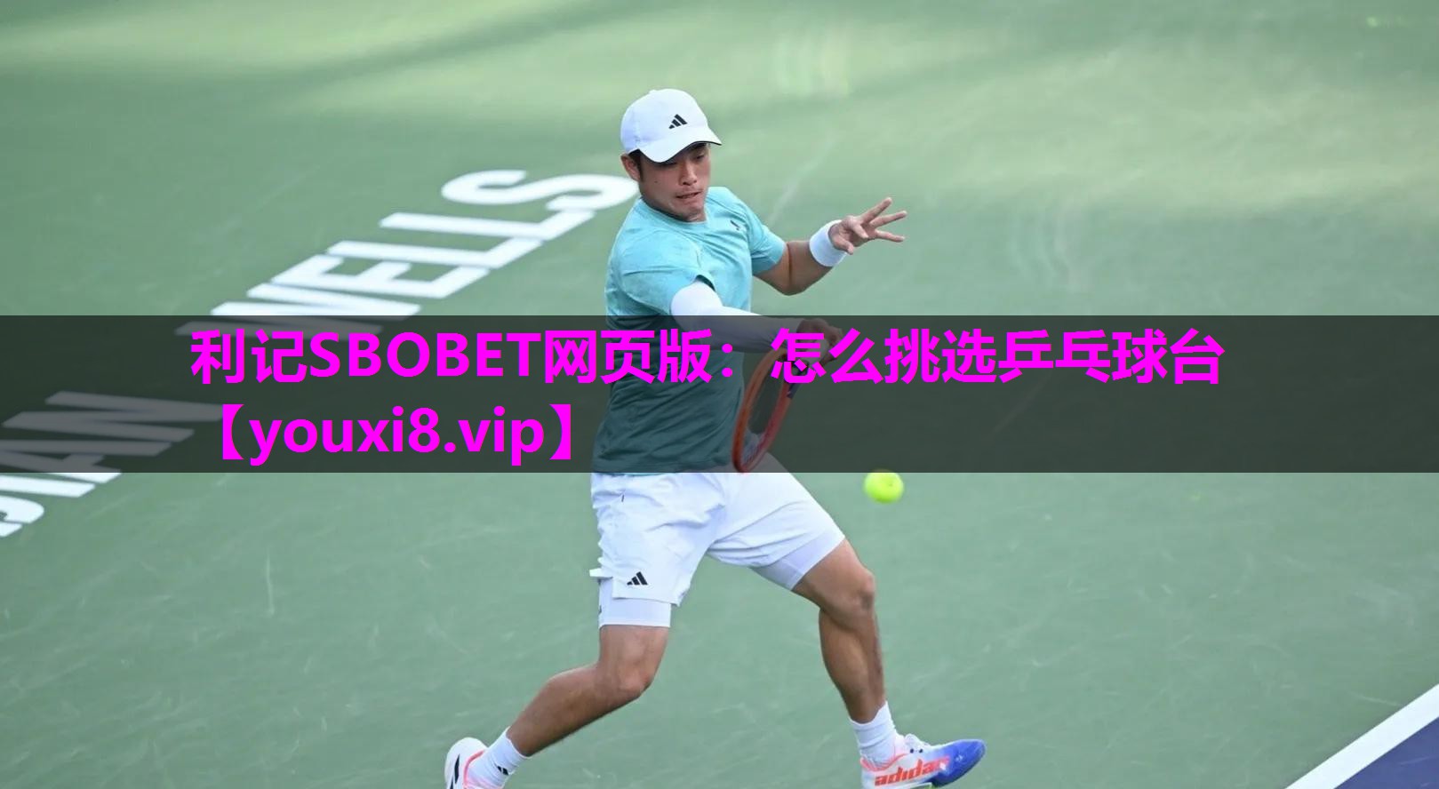 利记SBOBET网页版：怎么挑选乒乓球台