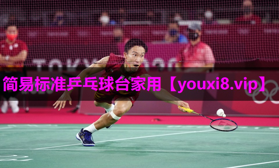 简易标准乒乓球台家用