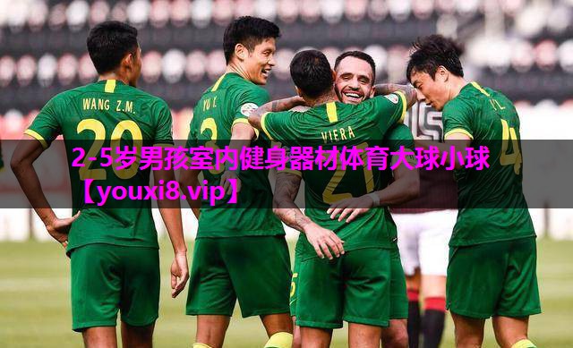 2-5岁男孩室内健身器材体育大球小球