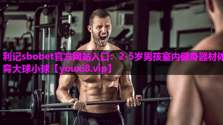 利记sbobet官方网站入口：2-5岁男孩室内健身器材体育大球小球