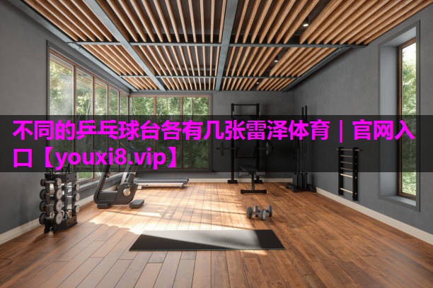 不同的乒乓球台各有几张雷泽体育｜官网入口