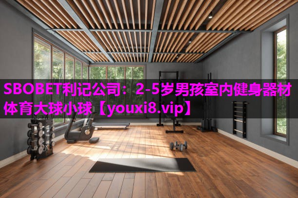 SBOBET利记公司：2-5岁男孩室内健身器材体育大球小球
