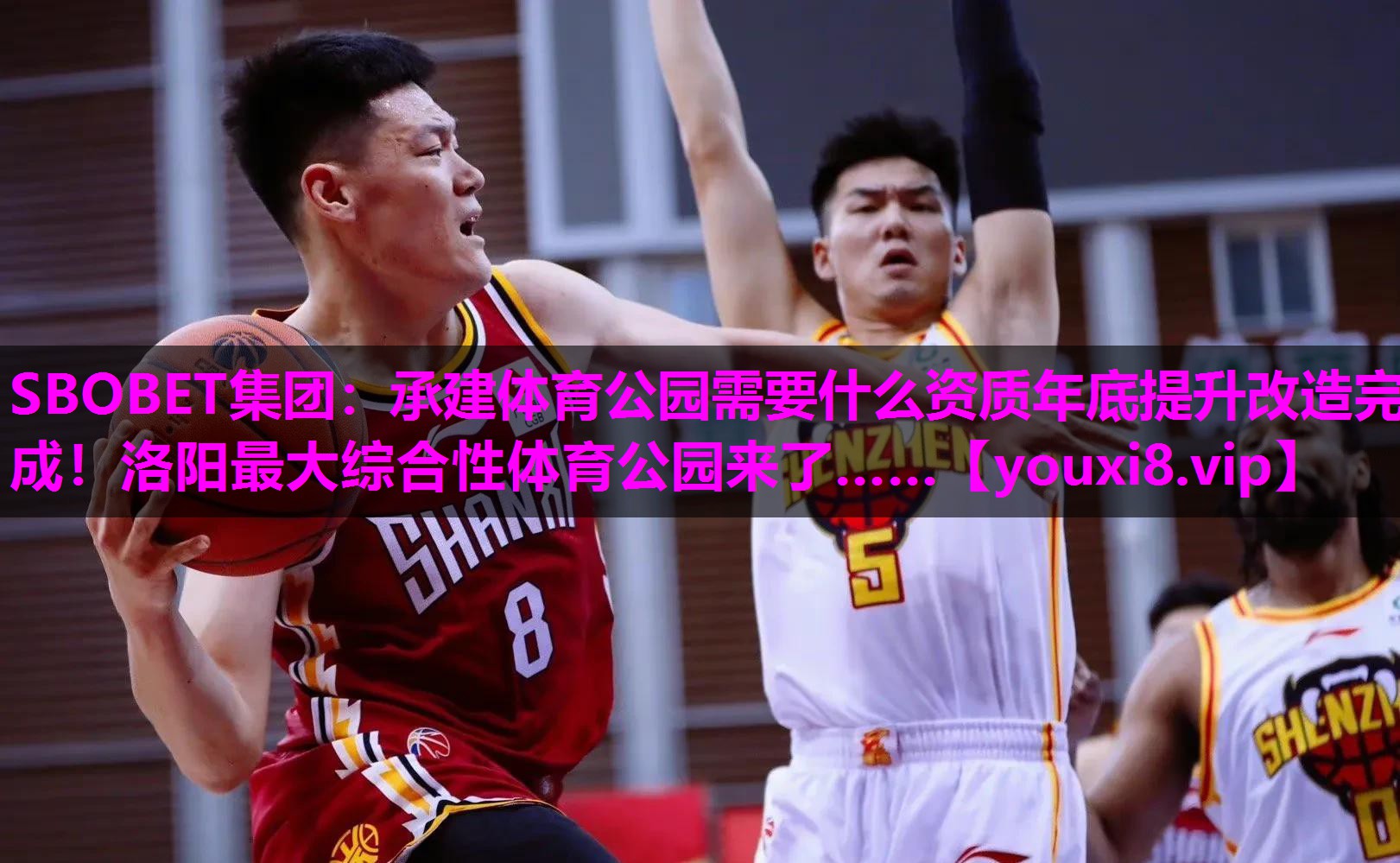 SBOBET集团：承建体育公园需要什么资质年底提升改造完成！洛阳最大综合性体育公园来了……
