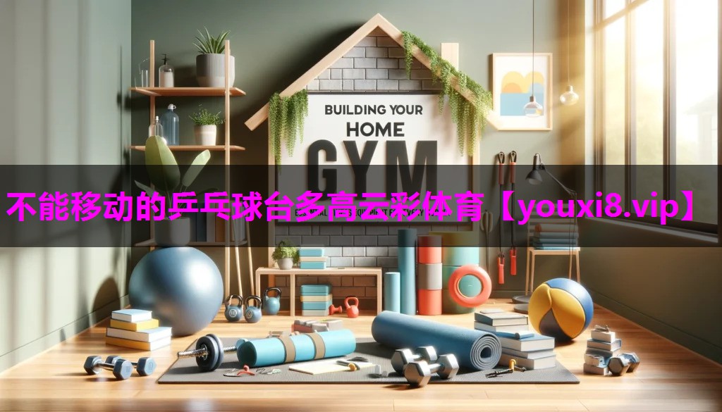 不能移动的乒乓球台多高云彩体育
