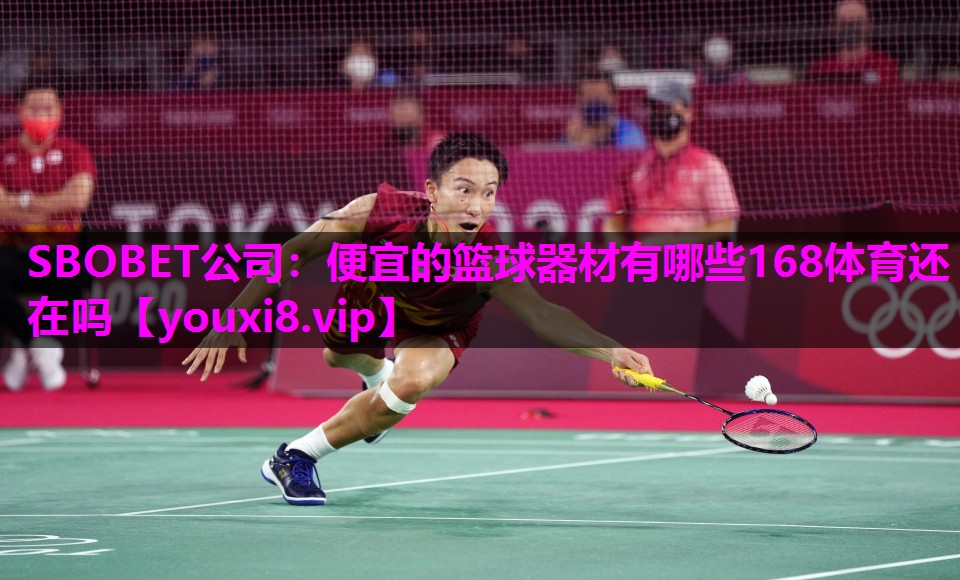 SBOBET公司：便宜的篮球器材有哪些168体育还在吗