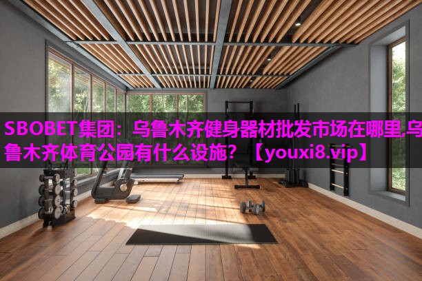 SBOBET集团：乌鲁木齐健身器材批发市场在哪里,乌鲁木齐体育公园有什么设施？