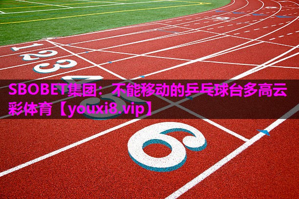 SBOBET集团：不能移动的乒乓球台多高云彩体育