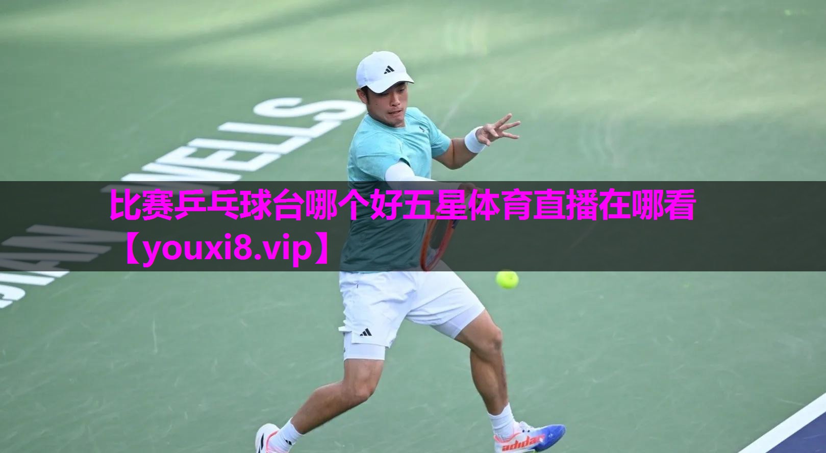 比赛乒乓球台哪个好五星体育直播在哪看