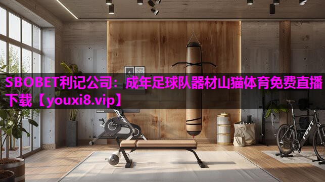 SBOBET利记公司：成年足球队器材山猫体育免费直播下载