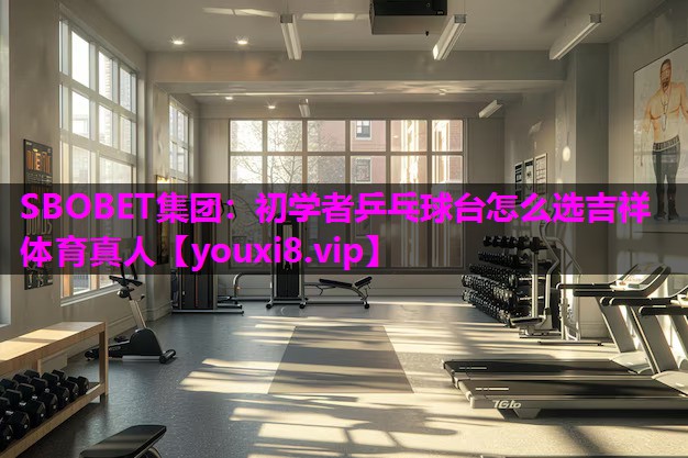 SBOBET集团：初学者乒乓球台怎么选吉祥体育真人