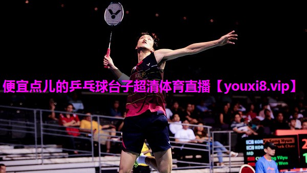 便宜点儿的乒乓球台子超清体育直播