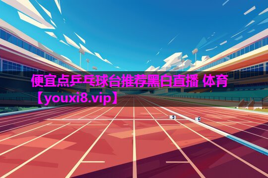 便宜点乒乓球台推荐黑白直播 体育