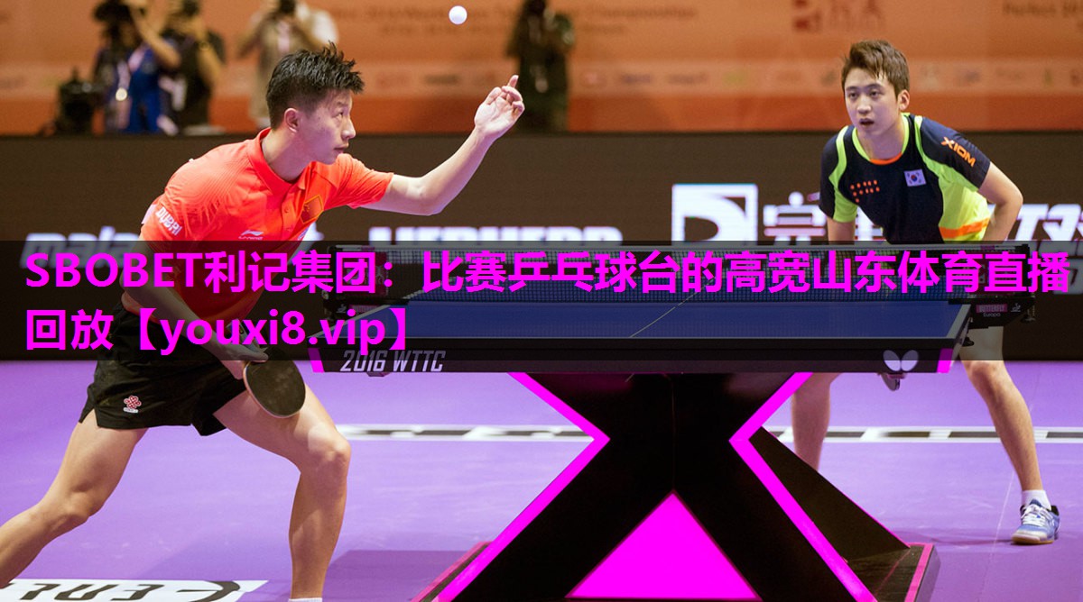 SBOBET利记集团：比赛乒乓球台的高宽山东体育直播回放