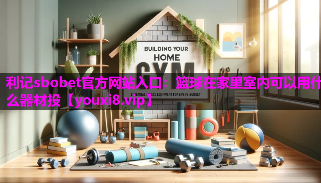 篮球在家里室内可以用什么器材投