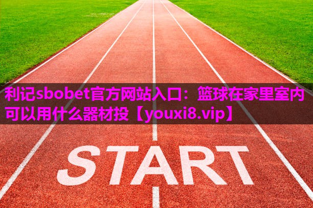 篮球在家里室内可以用什么器材投
