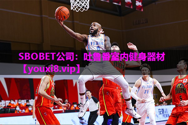 吐鲁番室内健身器材
