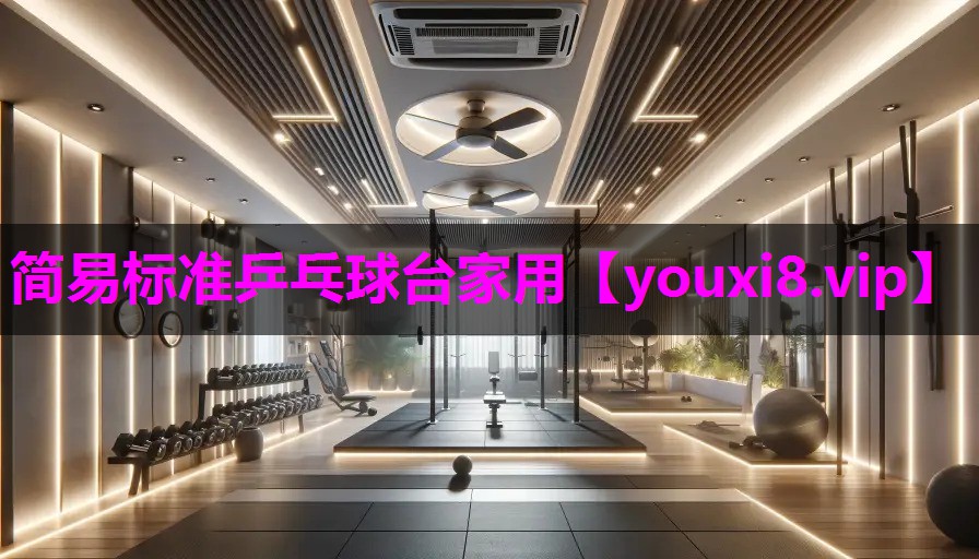 简易标准乒乓球台家用