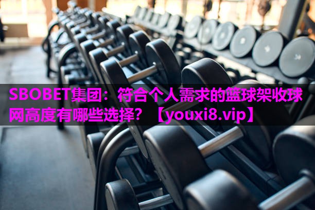 符合个人需求的篮球架收球网高度有哪些选择？